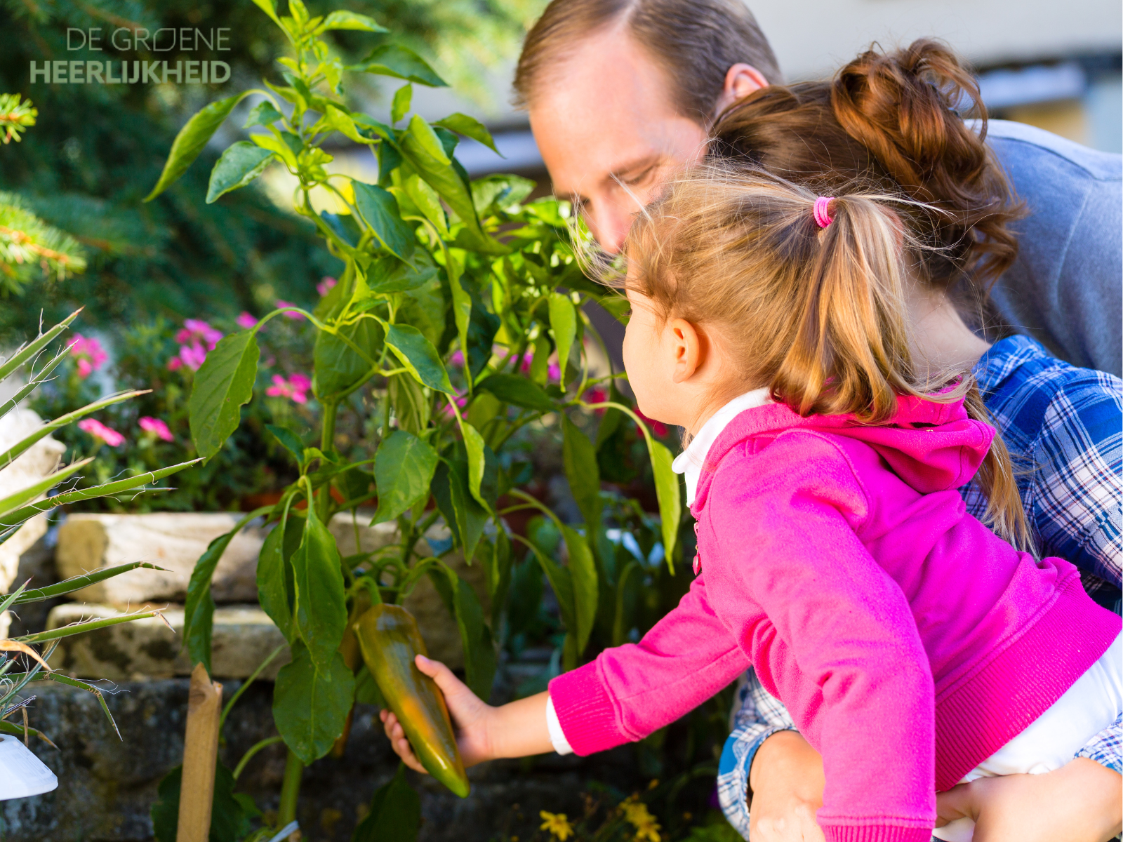 Een eigen moestuin: fantastisch toch?