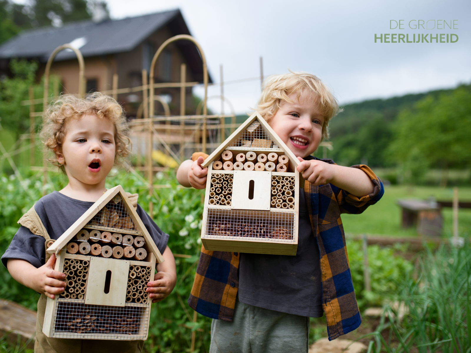Creëer een gastvrij thuis voor nuttige insecten: Het insectenhotel